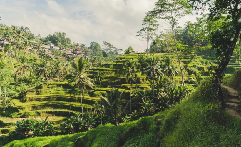 Bali Spirit: Seminyak ve Ubud'da 9 Gece
