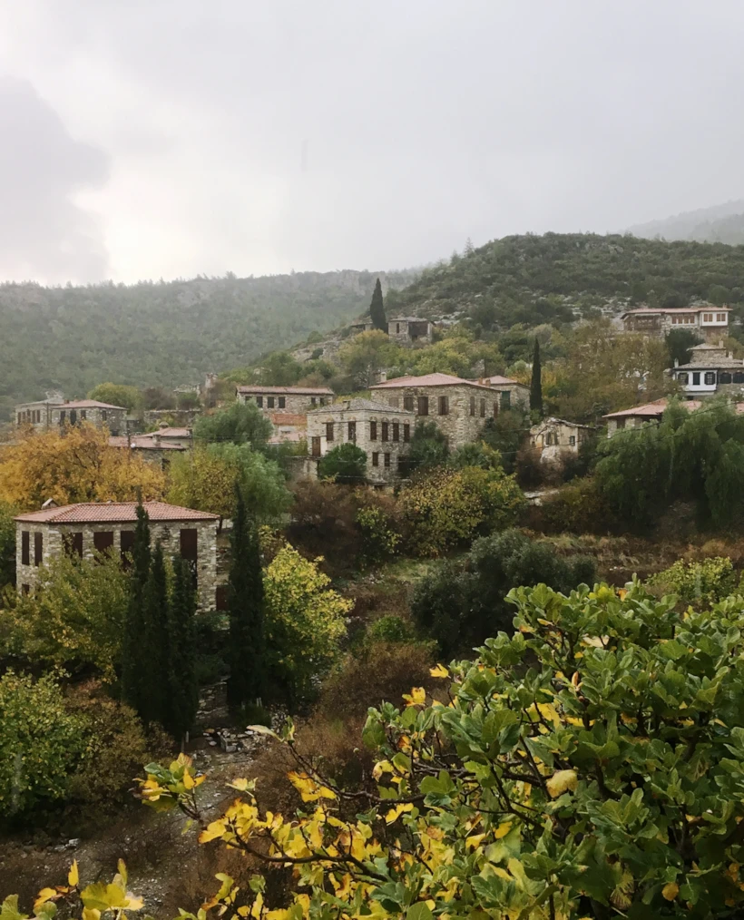 doganbey-1