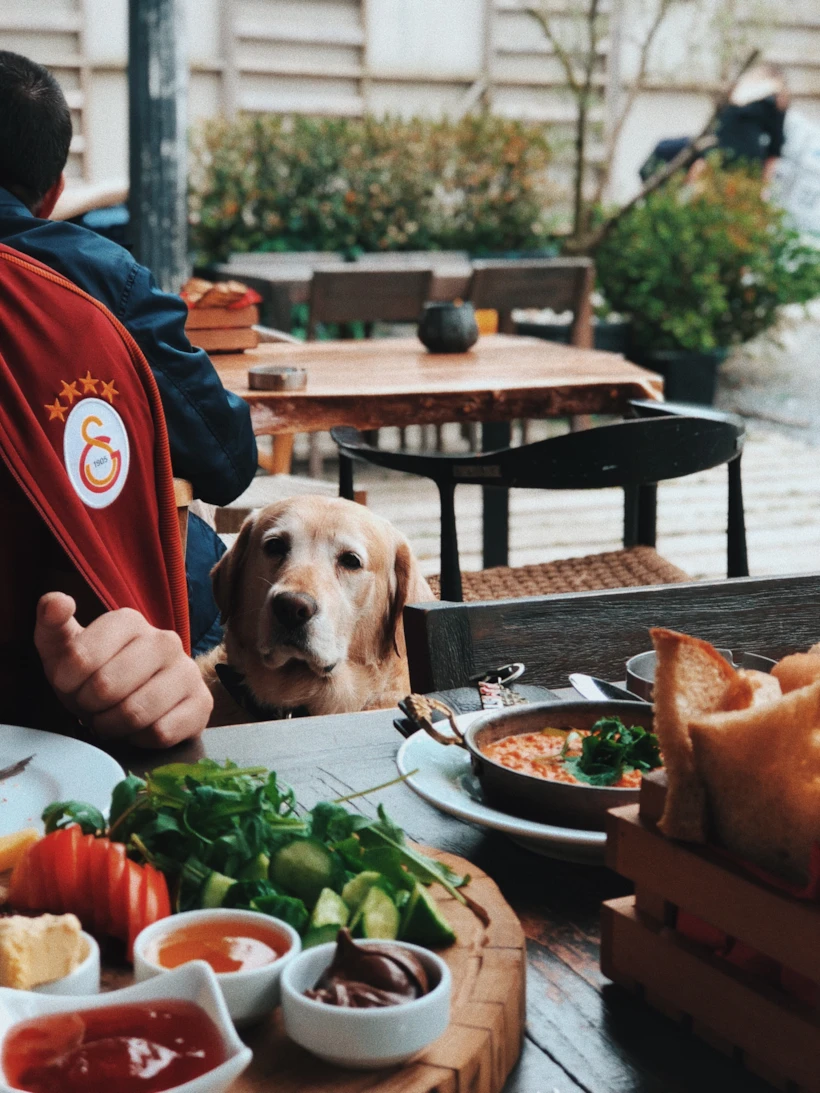 Rocco manzaralı kahvaltımız
