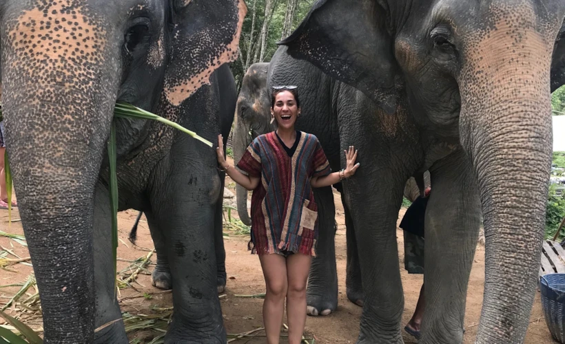 Elephant Jungle Sanctuary: Phuket'te Bir Fil Barınağı