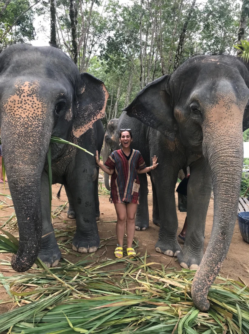 Elephant Jungle-4
