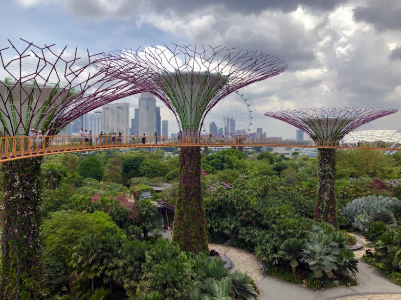 Nick Fewings – Singapur