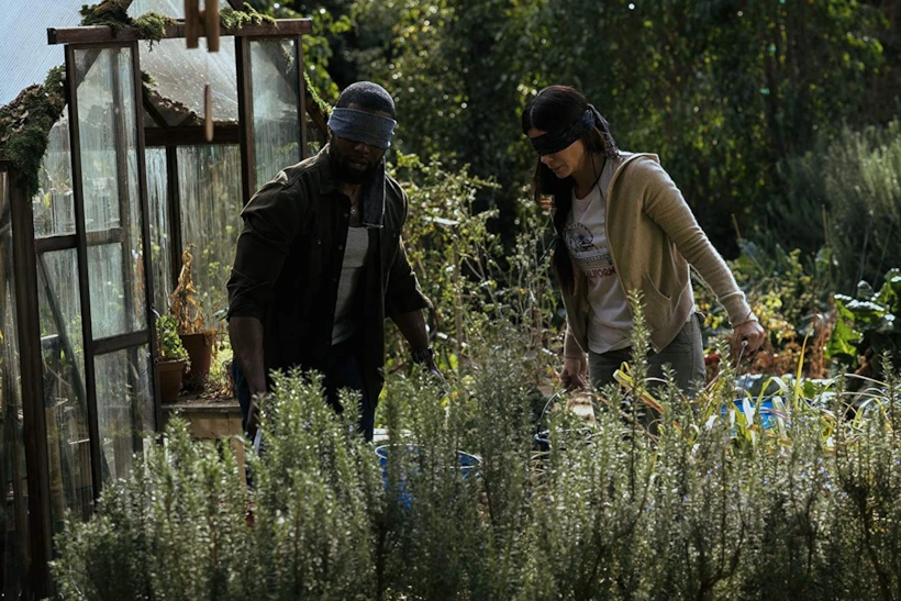 bird box netflix