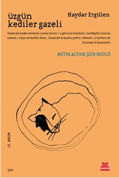 kitap önerileri - şiir kitapları