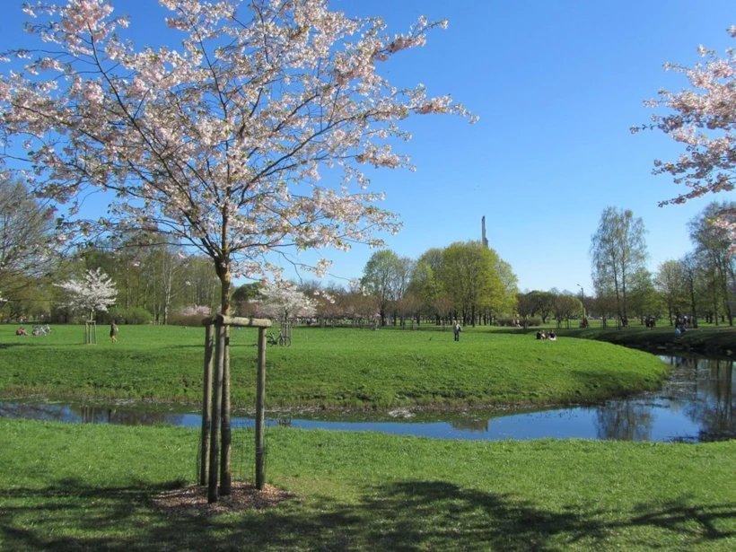 park
