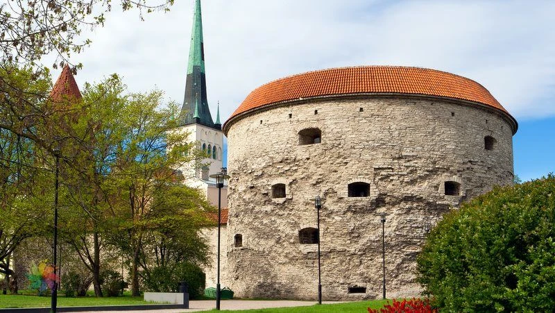 Fat-Margaret-Tower-Tallinn