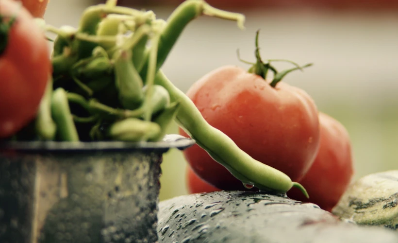 Slow Food Hareketi: Önce Ruhunuz, Sonra Karnınız Doysun