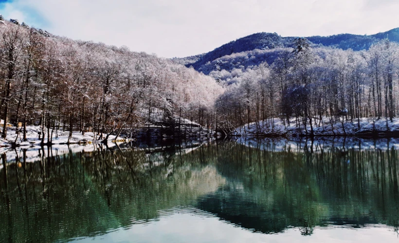 Yedigöller'de Doğayı Hissetmek: Habitat Mesire Evleri