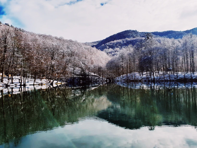 Processed with VSCO with au5 preset