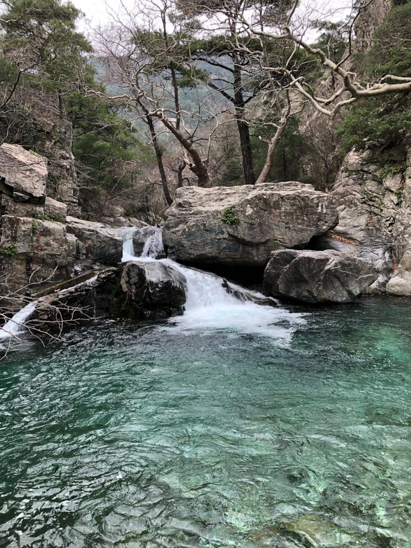 Kış Mevsiminde Leziz Bir Cunda Rotası 