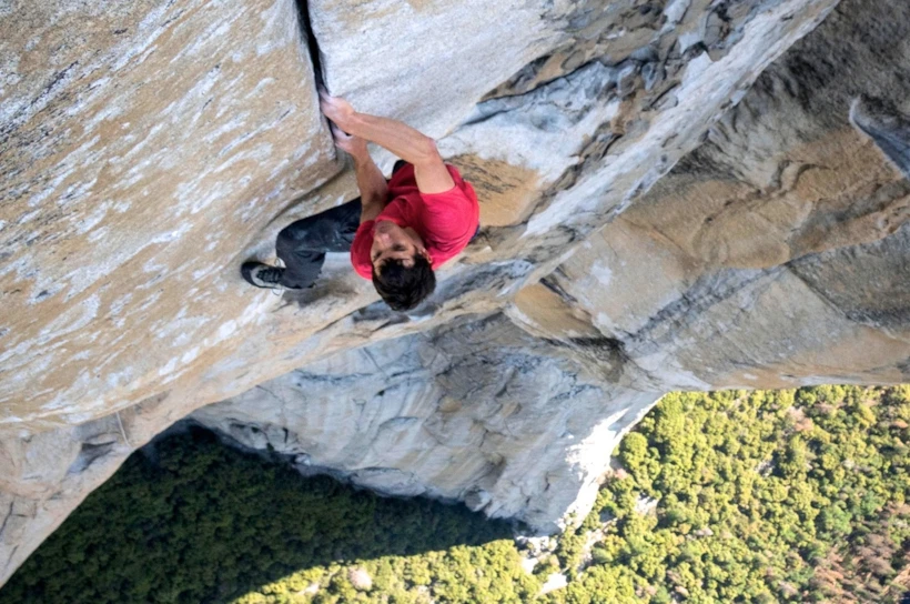 Honnold Profile MM8506