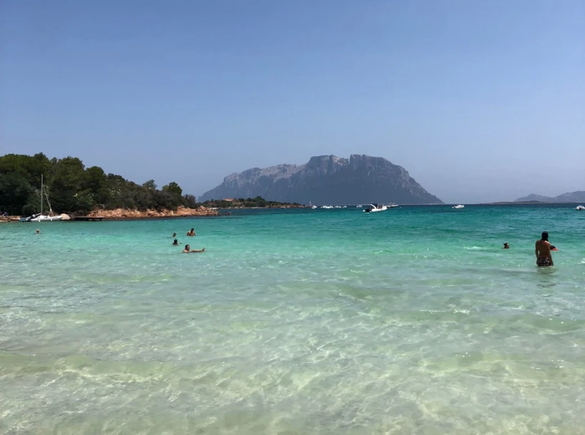 Sardinya Deniz