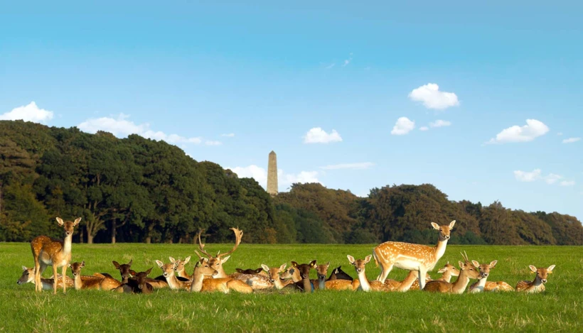 dublin – phoenix park