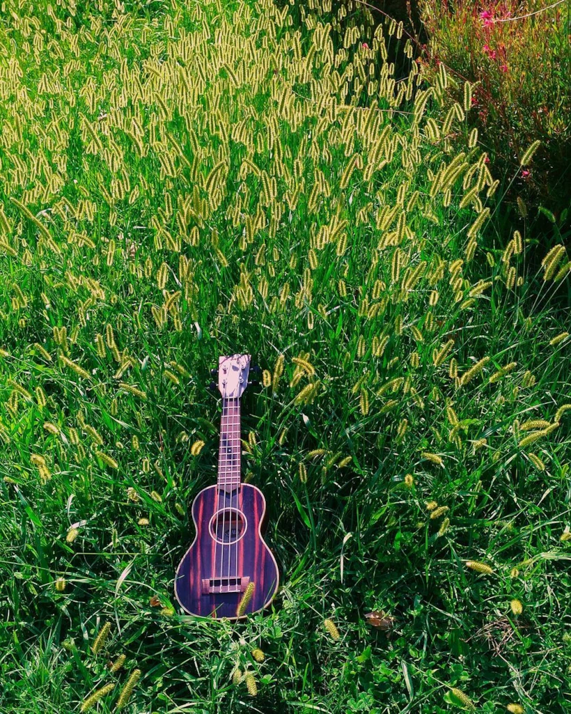 Ukulele