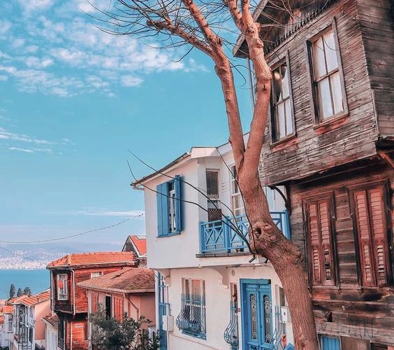 Heybeliada: Mimozalar Açtığında Bir Başka Güzel