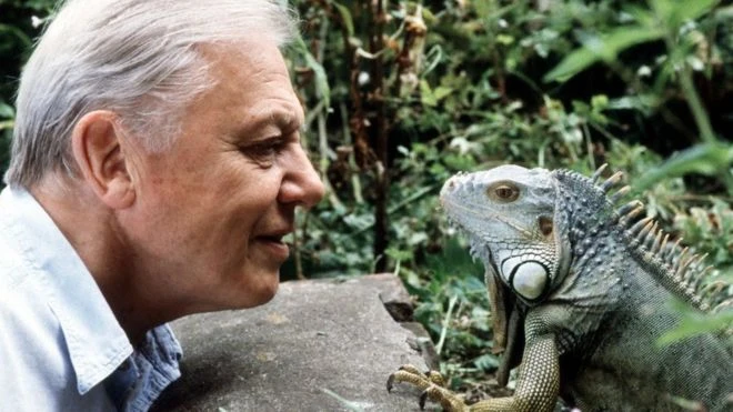 David Attenborough