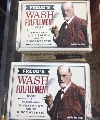 Freud ve Viyana