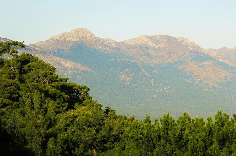 Kazdağları
