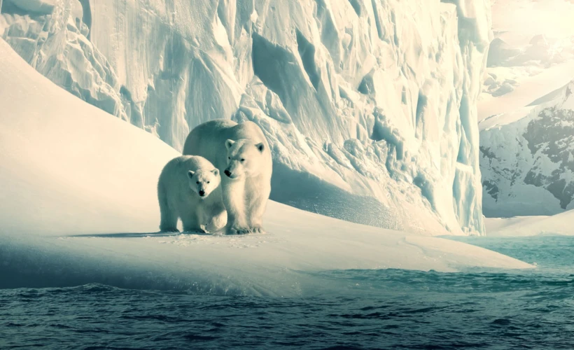 Our Planet: Geleceğimizin Korkutan Durumunu Hatırlatan Belgesel