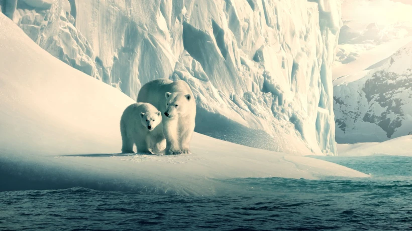 Our Planet Netflix