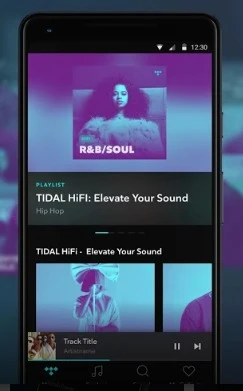 Tidal
