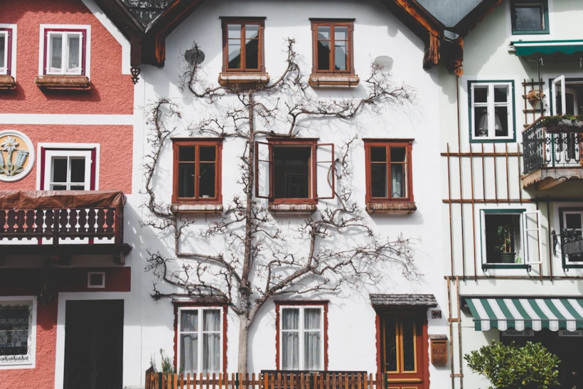 daniel-frank-225181-unsplash