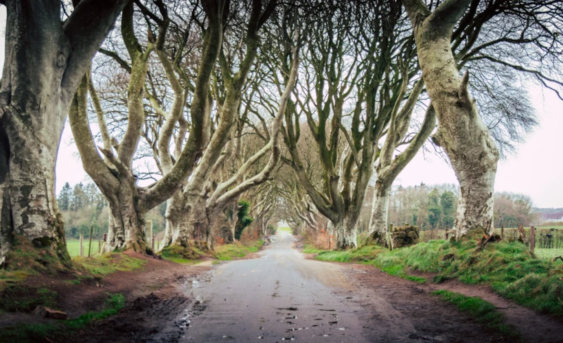 Tatilde Westeros'a: Game of Thrones'un Çekildiği Yerler