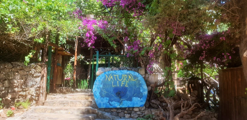 Kabak Natural Life 2