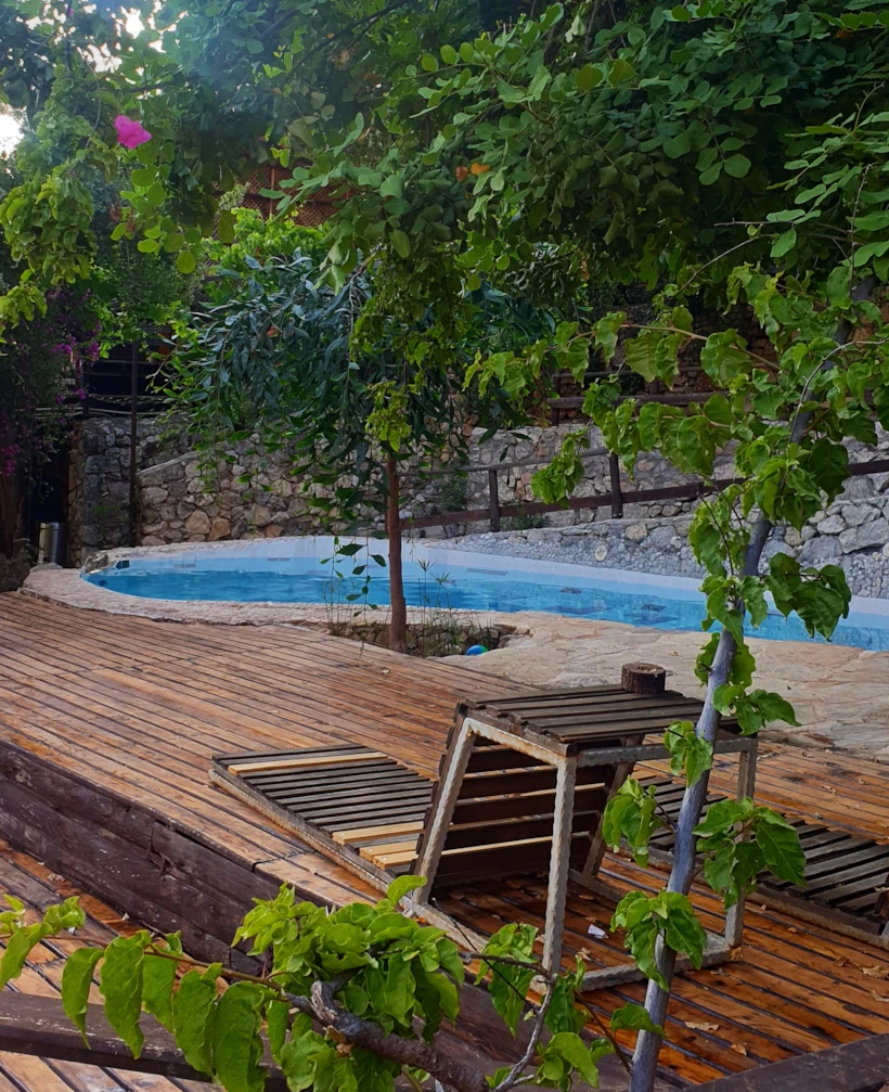 Kabak Natural Life