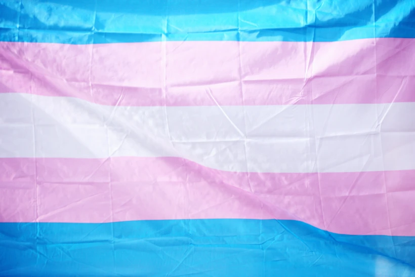 gökkuşağı bayrağı – trans pride – sharon-mccutcheon