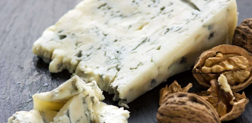 italya yemek festivalleri – gorgonzola – italoamericano.org