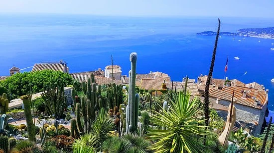 le-jardin-exotique-d
