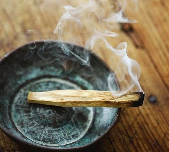 Palo Santo Ağacı: Yüzyılların Şifa Kaynağı