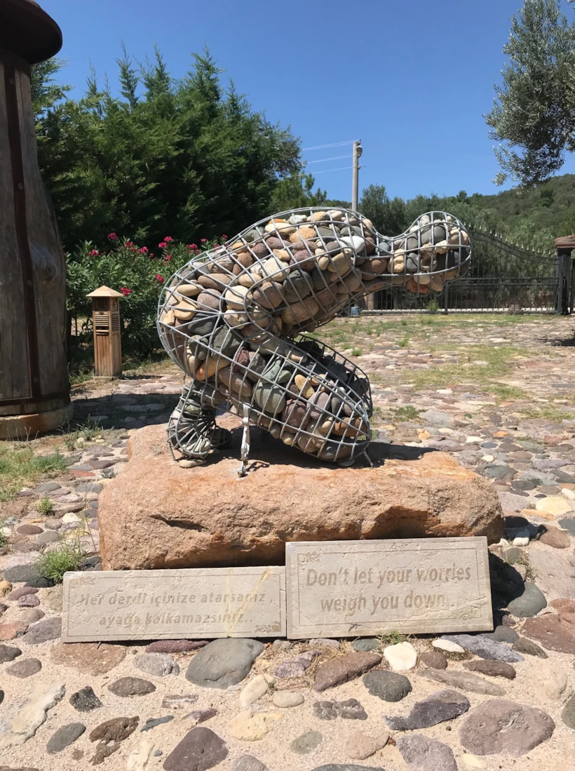 calidus otel5