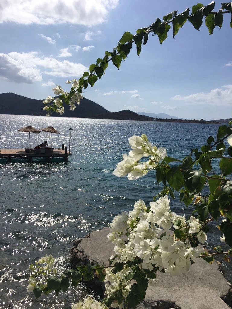 oda manzarası