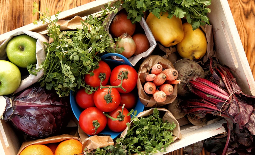Bir Vegan Olma Hikayesi: Nasıl Karar Verdim?