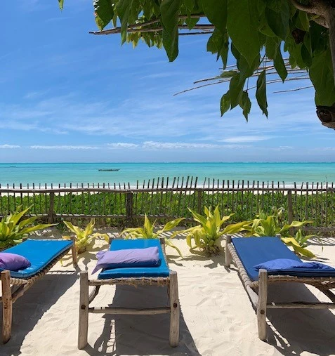 Hakuna Matata: Zanzibar'dan Kenya'ya Macera Dolu Bir Tur