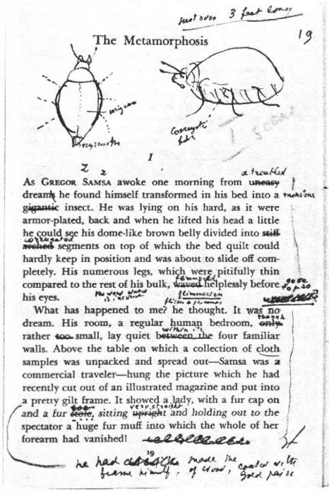 Vladimir Nabokov: Kafka’sı, Cüceleri ve Azizleri