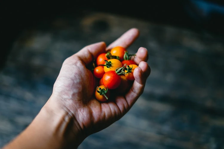 Dünya Gıda Günü | Fotoğraf: Unsplash / Chinh Le Duc