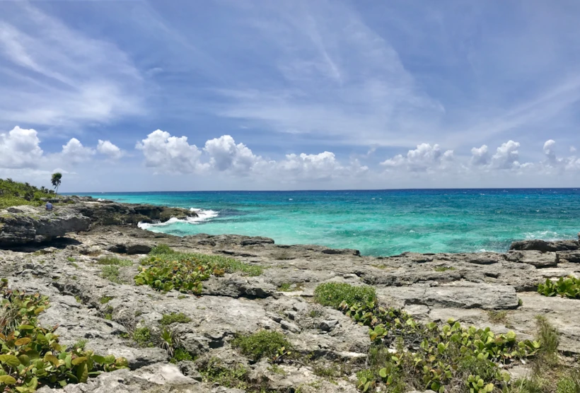 Xcaret Hotel, Cancun: Meksika'nın Yeşillikler İçindeki Oteli
