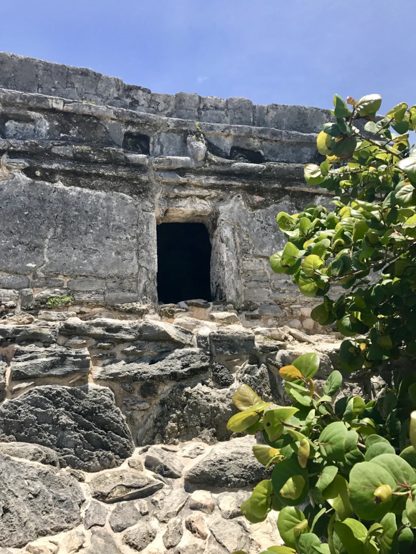 Xcaret'teki Diğer Parklar