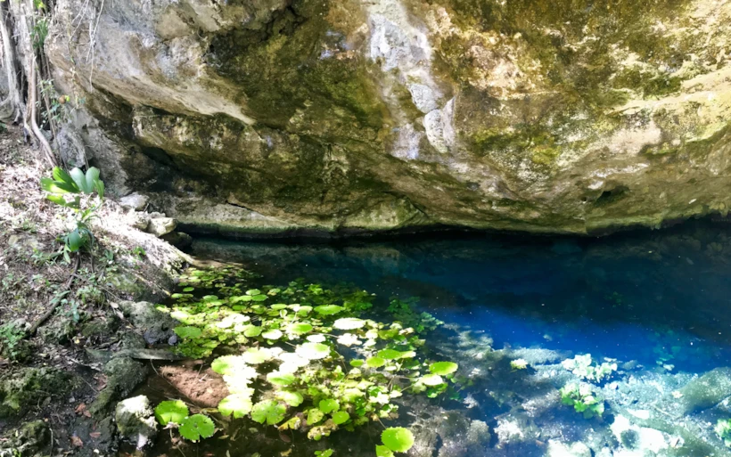 Xcaret'teki Diğer Parklar