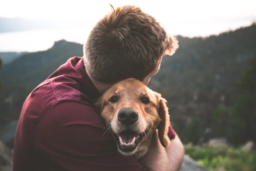  Fotoğraf: Unsplash.com / Eric Ward