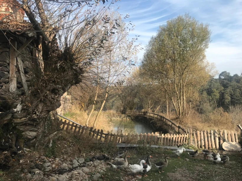 Kastamonu | Fotoğraf: Naz Kavas