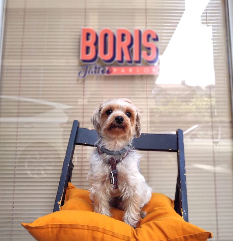 Patron Boris