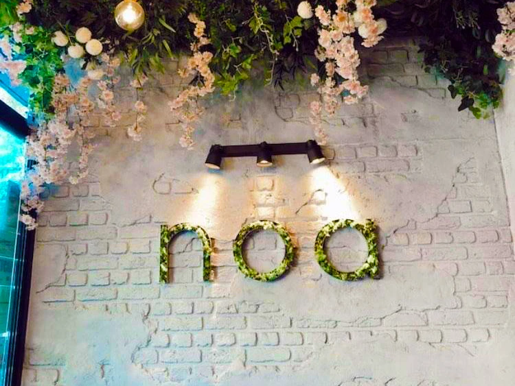Noa Burger