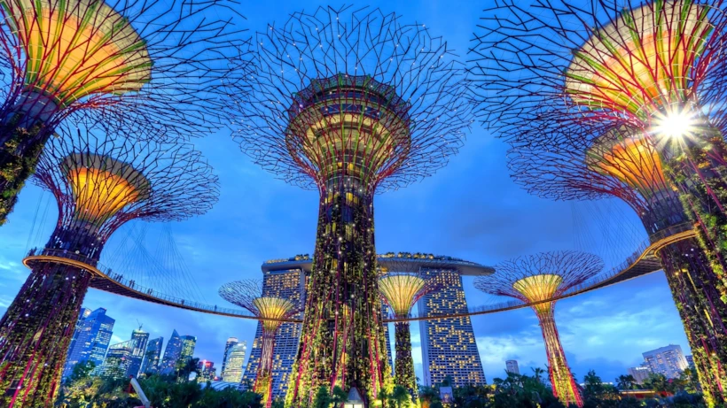 Singapur: Gardens By The Bay | Fotoğraf: Unsplash: Duy Nguyen