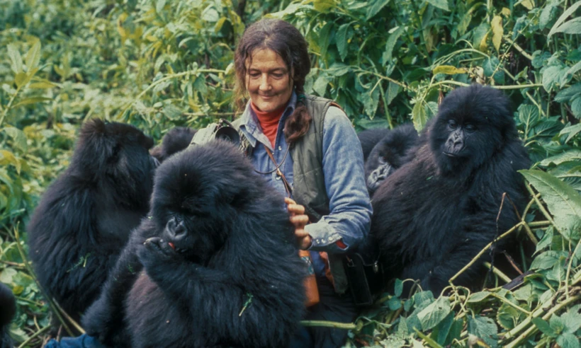 Dian Fossey