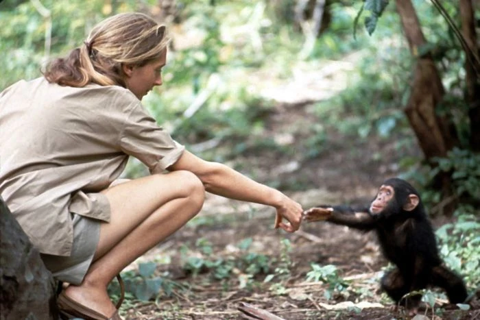 Jane Goodall