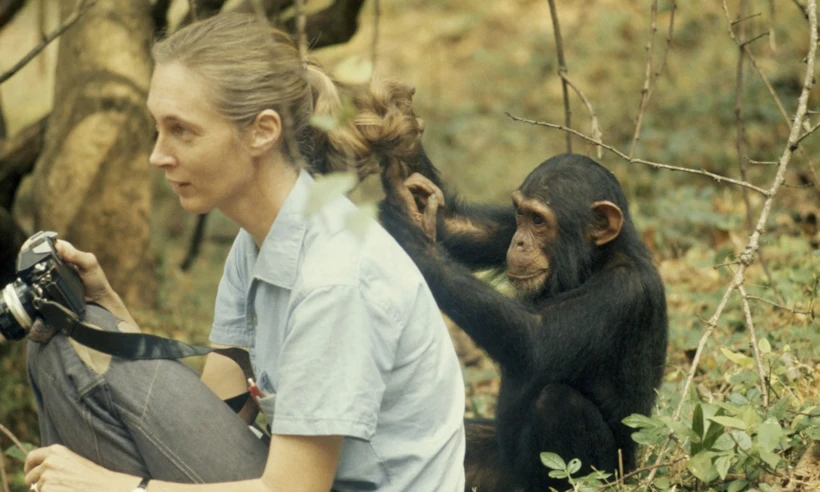 Jane Goodall